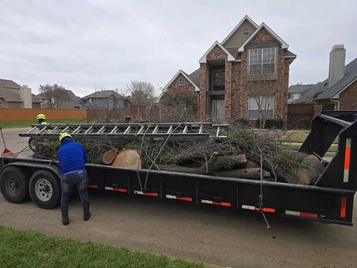 Expert Tree Fertilization with proper safety equipment in Jack